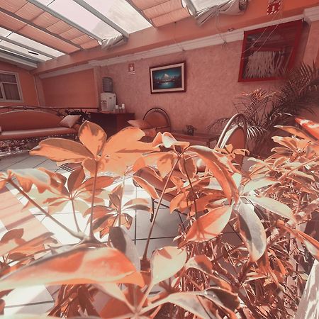 Estancia Gato Negro كوينكا المظهر الخارجي الصورة