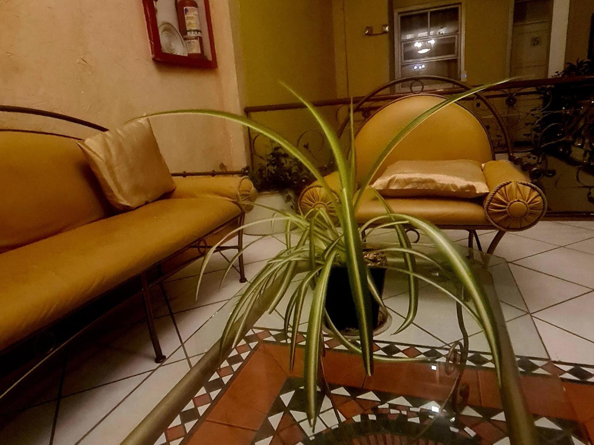 Estancia Gato Negro كوينكا المظهر الخارجي الصورة